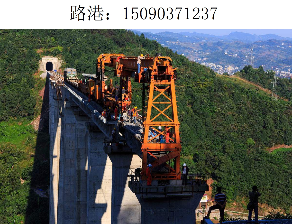 1237路港架桥机216